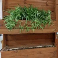 آبنما به همراه باکس گل