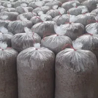 فروش تفاله سیب و چغندر با کیفیت عالی در بسته بندی