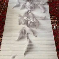 پرده زبرا سه  بعدی
