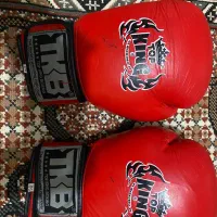 دستکش بوکس|تجهیزات ورزشی|کرج, حسین آباد (اکبر آباد)|دیوار