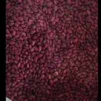 لوبیا چیتی و قرمز|خوردنی و آشامیدنی|تهران, قصر فیروزه ۱|دیوار