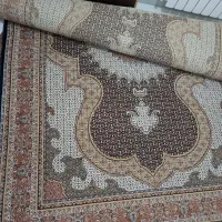 فرش ۶متری شاه ماهی|فرش|رشت, گلسار|دیوار