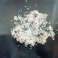 برنج پاکستانی دانه بلند 1121چشمگیر|عمدهفروشی|کاشمر, |دیوار