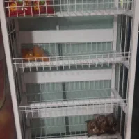 یخجال و ویترین مغازه|فروشگاه و مغازه|محمدشهر, جعفرآباد|دیوار