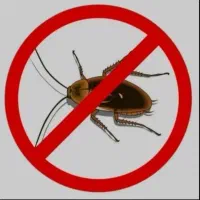 سمپاشی منزل و باغشهری|خدمات نظافت|صدرا-فارس, فاز ۲|دیوار