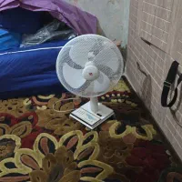 پنکه رو میزی پارس خزر|پنکه و تصفیه‌کنندهٔ هوا|تهران, هفده شهریور|دیوار