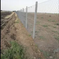 خرید وفروش چوب درختان وانجام همه ی کارهای باغبانی|خدمات باغبانی و درختکاری|صحنه, |دیوار