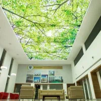 سقف کاذب سقف کشسان سقف کهکشانی و آسمان مازی