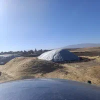 کارگرکاه|خدمات باغبانی و درختکاری|اسلام‌‌آباد غرب, |دیوار