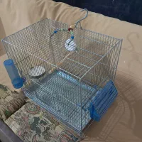 قفس اردشیری سهره قناری