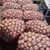 پیاز درجه 1|خوردنی و آشامیدنی|زنجانرود, |دیوار