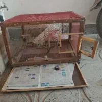 قفس|لوازم جانبی حیوانات|گناباد, |دیوار
