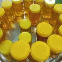 عسل طبیعی کوهستان