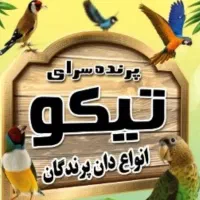 پرنده سرای تیکو