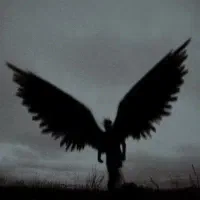 پرنده گم شده