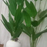 گلبرگ مصنوعی