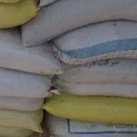 کشمش افتابی