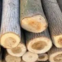 خرید و فروش چوب باغی