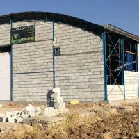 پیمان کاری برادران مدیری