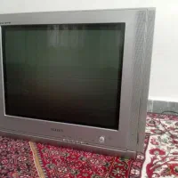 تلوزیون
