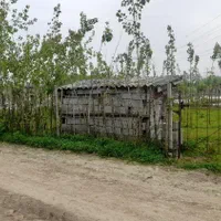 زمین باغی|فروش زمین و ملک کلنگی|تولم شهر, |دیوار