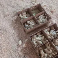 آگهی رو بدقت مطالعه کنین بعد تماس بگیرین