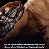 سیر سیاه اصل
