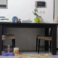 میز نهار خوری جنس محکم چوب راش|میز و صندلی غذاخوری|مشهد, ابوذر|دیوار