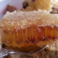 عسل ۱۰۰٪طبیعی