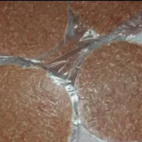 تولید و پخش همبرگر دستی 36تومان فقط به صورت عمده|خوردنی و آشامیدنی|اصفهان, شهرک کاوه|دیوار