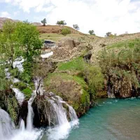 حرکت به سوی حضرت سلیمان