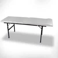 تخت اپیلاسیون|آرایشگاه و سالن‌های زیبایی|بندر انزلی, مسکن مهر|دیوار