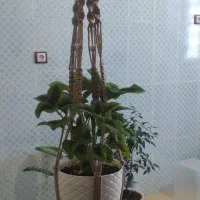 هنر دست بافت|صنایع دستی و سایر لوازم تزئینی|یاسوج, |دیوار
