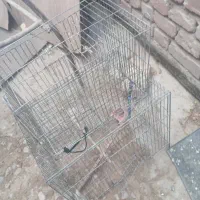 قفس پرنده