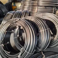 گندم پیشگام آبی 200 کیلو