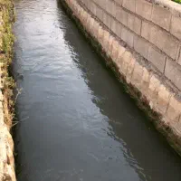 فروش زمین مسکونی|فروش زمین و ملک کلنگی|آبدانان, |دیوار