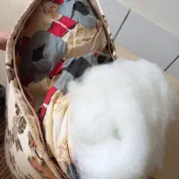 فروش پشتی های الیاف باآستری|پشتی|بروجن, |دیوار