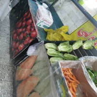 پالت مغازه|فروشگاه و مغازه|بهارستان, |دیوار