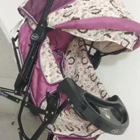 کالسکه دلیجان