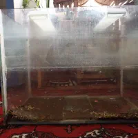 آکواریوم بزرگ