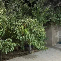 منزل تک‌خواب حیاط دار پارکینگ دار مبله اجاره ای