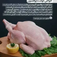 نیمچه بوقلمون یلدایی|حیوانات مزرعه|خرم‌آباد, |دیوار