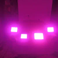 4عدد پرژکتور خیلی قوی بنفش