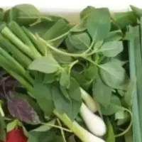سبزی خوردن پاک شده
