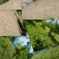 چمنزنی،علفززنی