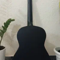 گیتار حرفه ای|گیتار، بیس، امپلیفایر|بوشهر, |دیوار