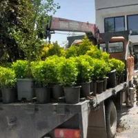 جرثقیل خاور و آبرسانی بهار