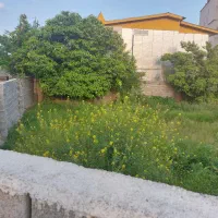 ملک مسکونی|فروش زمین و ملک کلنگی|بابکان, |دیوار