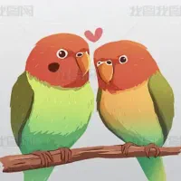 یک عدد مرغ عشق انتها مدرس پیدا شده