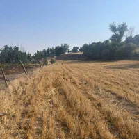 فروش زمین ۳۰۰ متری